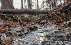 Stateline Road, Mooresboro, NC 28114