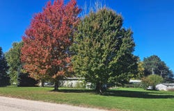 207 West State St., Brady, NE 69123