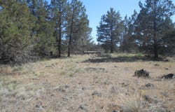 0 Ground Squirrel Drive, Bonanza, OR 97623