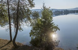 Lot 2 Braden Estates, Priest River, ID 83856