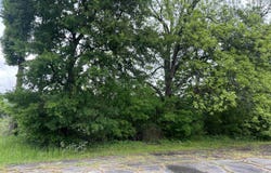 0 Highway 65 and Highway 11, Grady, AR 71644
