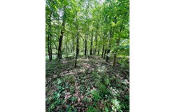 6195 Ashford Circle, Newburgh, IN 47630