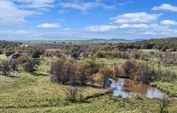 1161 LynnCreek Road, Jacksboro, TX 76458