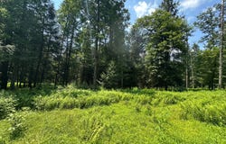 0  Pa 879, Karthaus, PA 16845