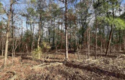 Tract 7 Venus Rd, Gladewater, TX 75647