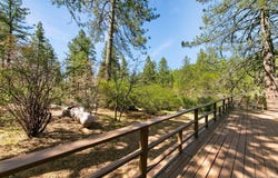 305 Los Huecos, Mount Laguna, CA 91948