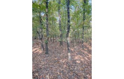Katy Rd, Tushka, OK 74525