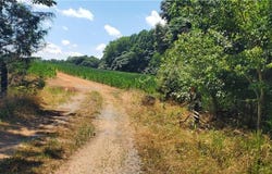 429 Harbour Lane, Dobson, NC 27017