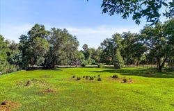 3345 Carter Road, Mims, FL 32754
