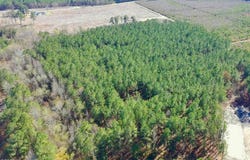 57 Eagle Nest Trail, Blounts Creek, NC 27814