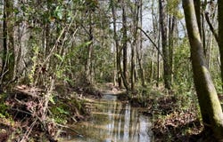 3200 E Chipper Rd, Cantonment, FL 32533
