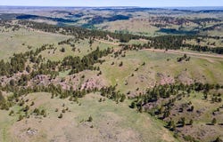 B7 Broad Axe Road, Gillette, WY 82716