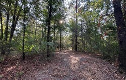10.13 Acres Fm 852, Gilmer, TX 75644
