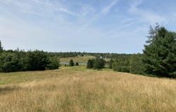 462 Kansas Road, Milbridge, ME 04658