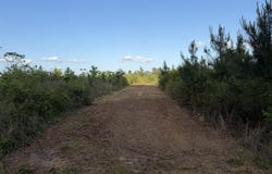 6.2 Acres Mt Bethel Rd, Sandy Hook, MS 39478