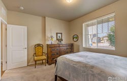 7213 Horsechestnut St, Wellington, CO 80549