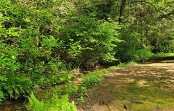 565 Cross Creek Ln, MURPHY, NC 28906
