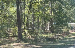 36650 Section B Neuces Drive, Trinity, TX 75862