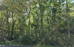 Penn Spring Drive lot: L135, Jim Thorpe, PA 18229