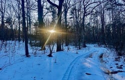 1491 HWY 5, Drasco, AR 72581
