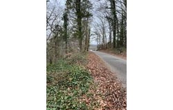Indian River Boat Dock Rd, Jacksboro, TN 37757