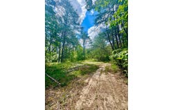 0 Highway 195, Ashridge, AL 35553