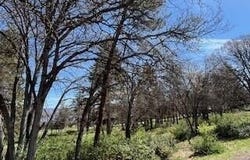 Coopers Hawk Road, Klamath Falls, OR 97601
