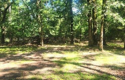 339 Eastern Hills Dr, Jefferson, TX 75657