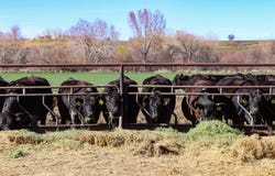 Tbd W Pioneer Road, Homedale, ID 83628