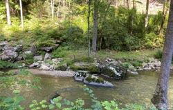 Big Laurel Road, Marshall, NC 28753