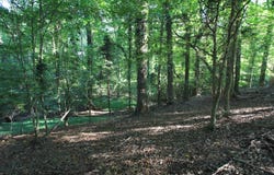 Maple Court, Woodruff, SC 29388-2318