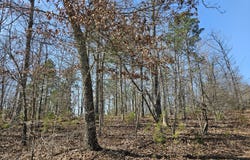 010 Tomahawk Slab Road, Saint Joe, AR 72675