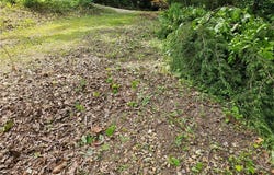 Lot 42 Marina Lane, Barnett, MO 65011