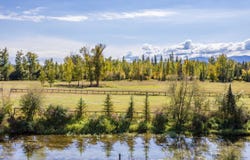 100 Woodlands Way unit: W-308, Kalispell, MT 59901
