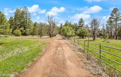 931 W WOODLAND LAKE Road, Lakeside, AZ 85929