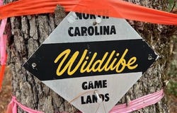 2035 Lower Tuskeegee Road, Robbinsville (Graham), NC 28771