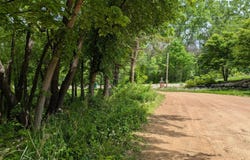 305 North Shore Drive W, Minnetrista, MN 55364