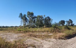 SE TBD HIGH FALLS ROAD, Lake City, FL 32025