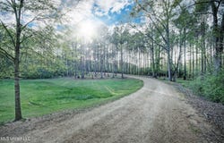 329 County Line Road, Mendenhall, MS 39114