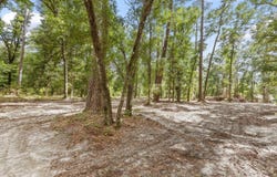 Gould Road, Quincy, FL 32351