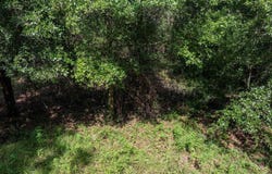 TBD 137TH PL, Live Oak, FL 32060