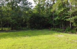5 Grooms Rd, Cross, SC 29436