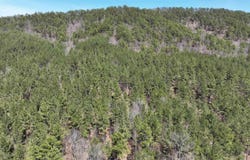 TBD Highway 375 East    (Lot 5), Mena, AR 71953