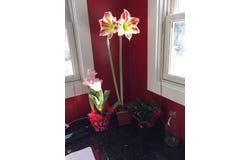 137 Stratton Arlington Road, Wardsboro, VT 05360