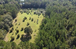 Ben Byrd Road, Lumberton, MS 39455