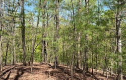 Lt 3421 Hart Court, Ellijay, GA 30540