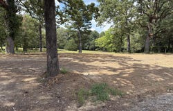 CR 833 - Lot 2, Guntown, MS 38849