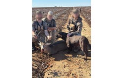 338 Acres FM 617, No City, TX 79521