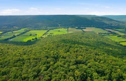 296 Acres County Road 106, Paint Rock, AL 35764