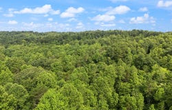 9999 Long Branch Road, London, KY 40741